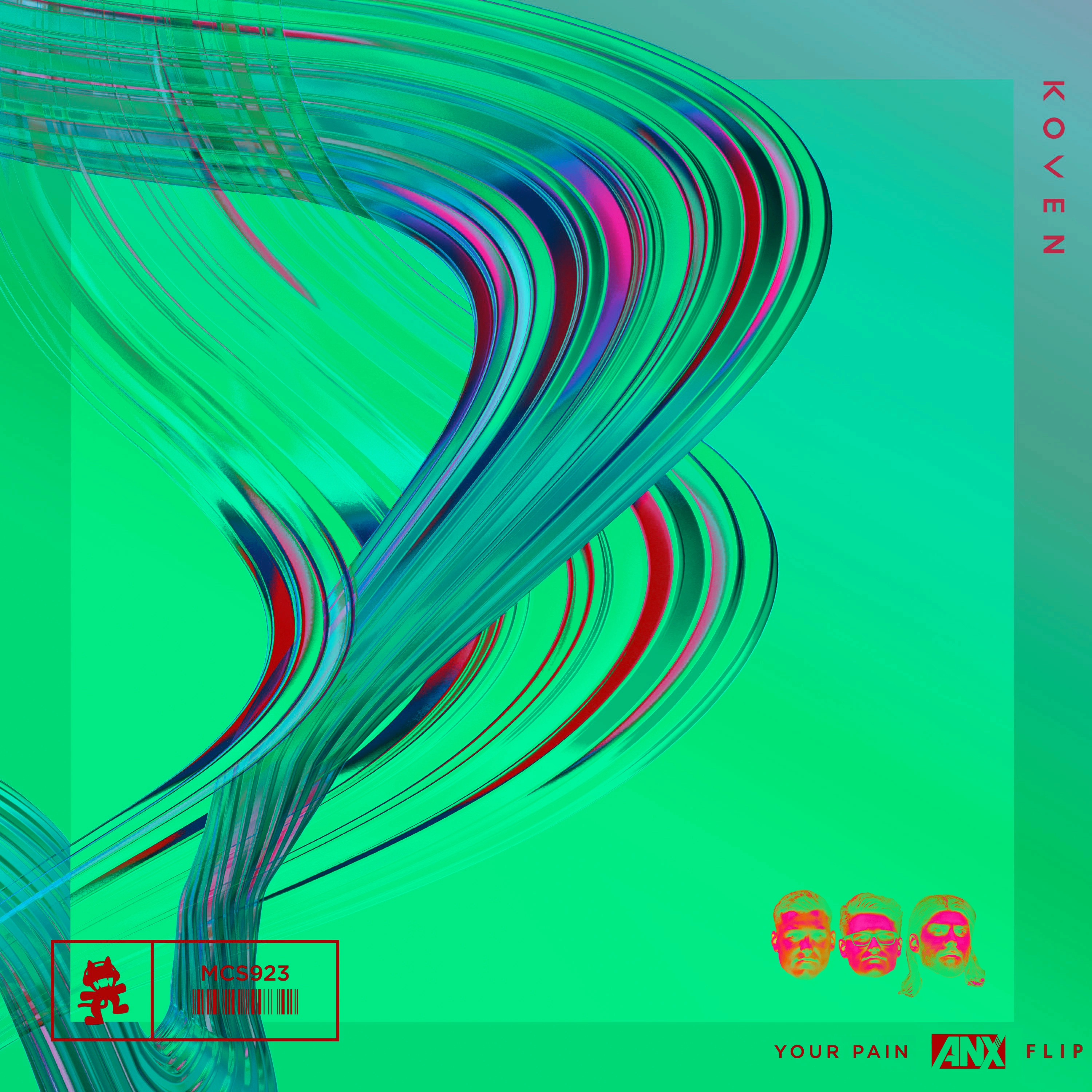 Cover of Your Pain ANX FLIP