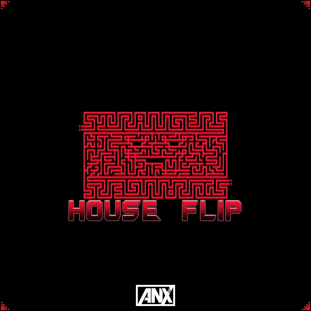 Cover of Strangers ANX FLIP