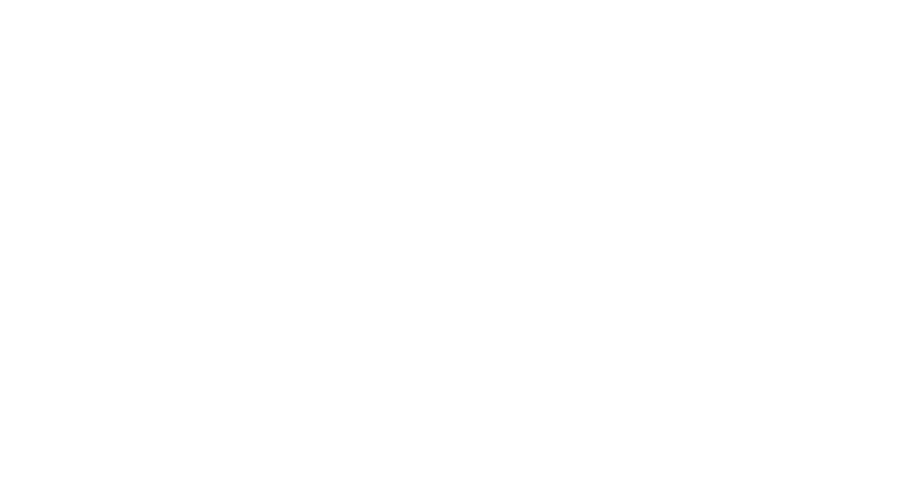 ANX Logo