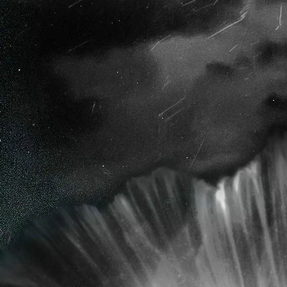 SPACE RUSH instagram post