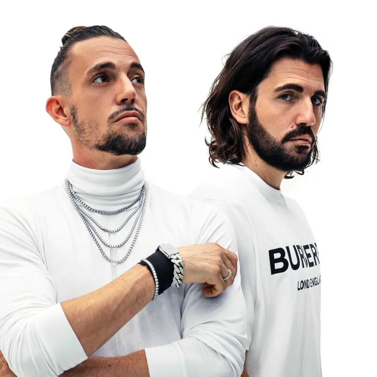 Picture of the artists Dimitri Vegas & Like Mike