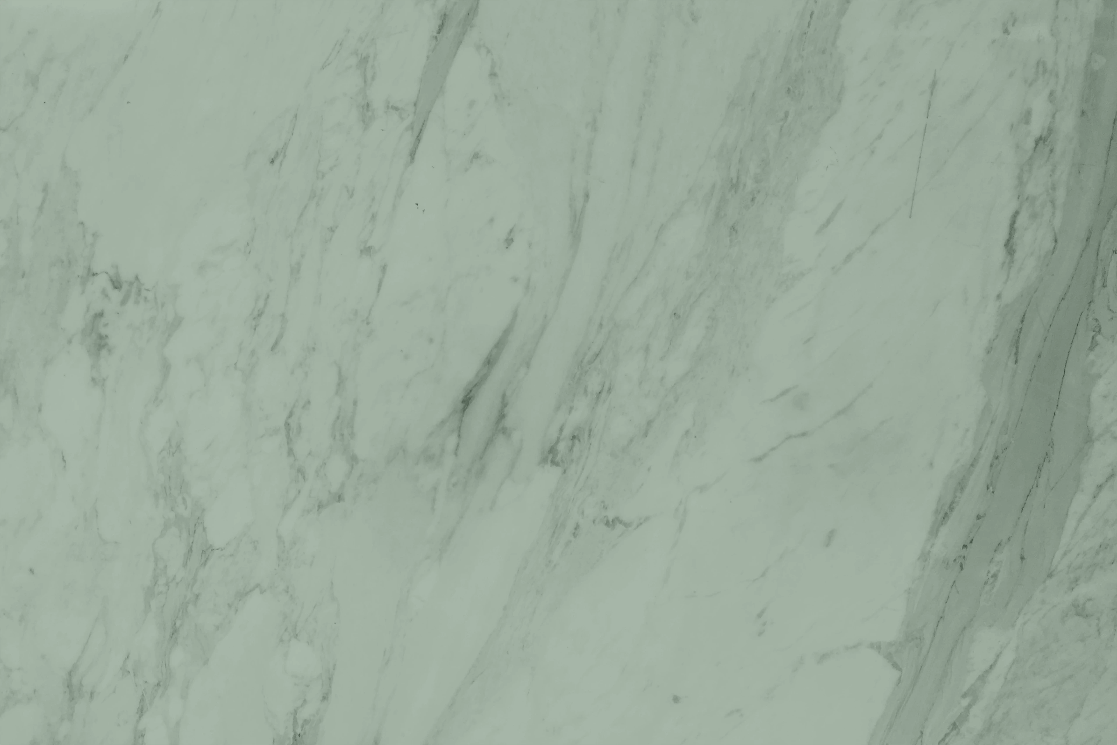 Et grønt banner/header billede, der bruges som et baggrundsbillede