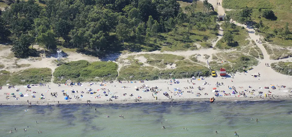 Billede af feddets strand